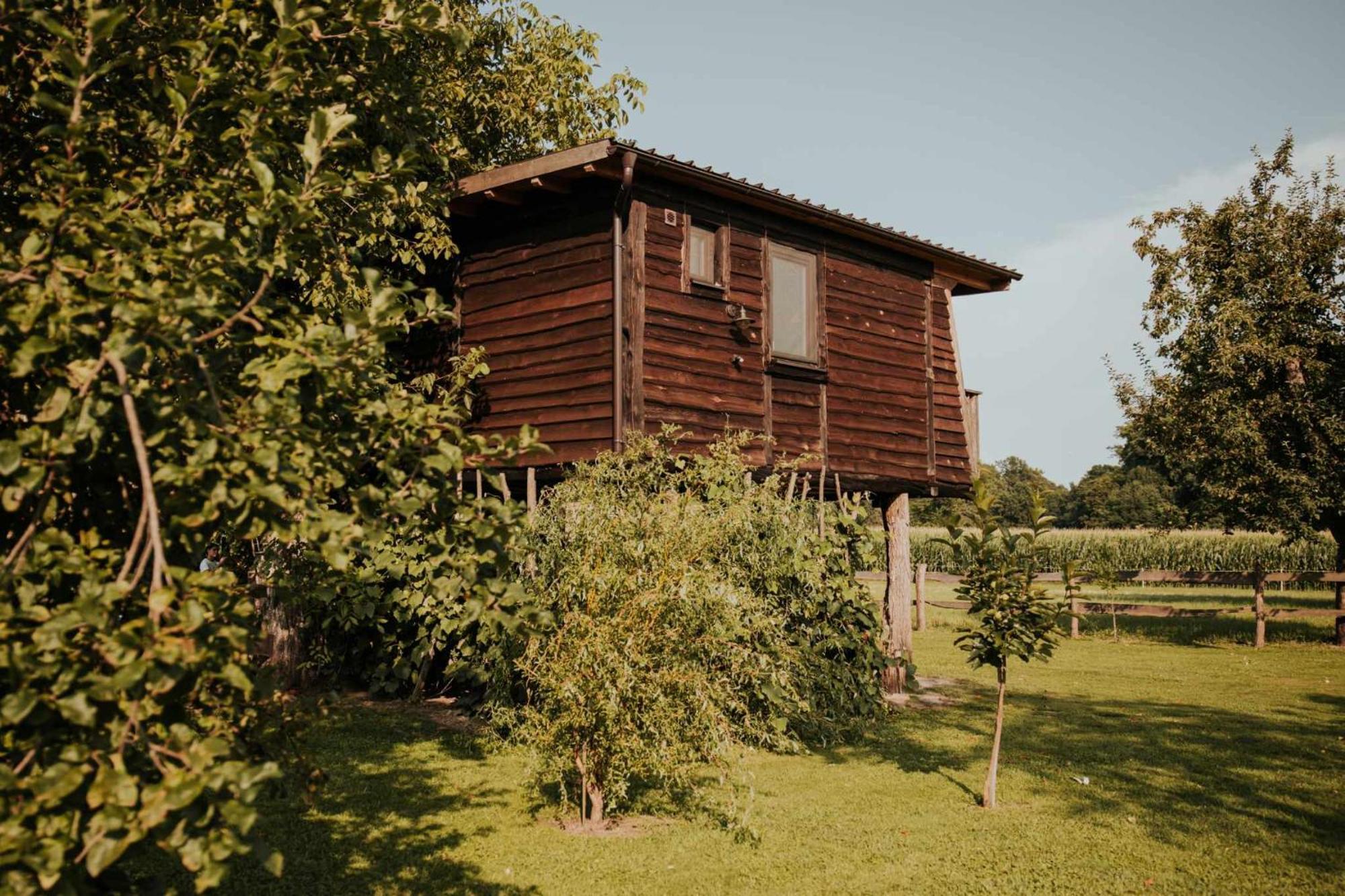 Hotel Treehouse Drevesna Hiska Strkovo Gnezdo Ranc Jures Ljutomer Exterior foto